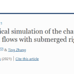 A 3-D numerical simulation of the characteristics of open channel flows with submerged rigid vegetation