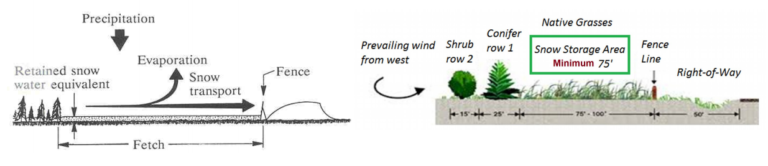 Diagram. Schematic design of a living snow fence | FLOW-3D
