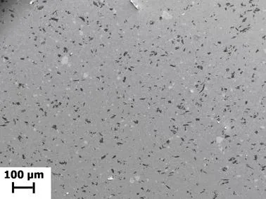 Figure 4 12 SEM micrograph of LM24 - 5 vol Figure 4 12 SEM micrograph of LM24 - 5 vol