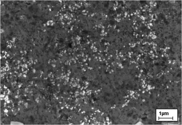Figure 5 23 High magnification backscattered electron SEM micrograph of the MgO Figure 5 23 High magnification backscattered electron SEM micrograph of the MgO