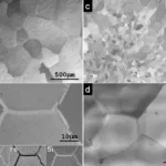 Fig. 1. Surface morphology of the D (a),(b) and R (c),(d) samples. Bottom part of subplot (b) represents the grain boundaries and maps of element concentration.