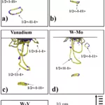 FIG. 3. Identification of defects in the plastic region beneath the indenter tip at the maximum depth of the single element tungsten (W), molybdenum (Mo), and vanadium (V) samples, as well as the binary alloys WMo and WV, using the BCC defect analysis (BDA) technique. Screw dislocation/ twinning planes are represented by yellow-colored atoms, while blue-colored atoms indicate edge dislocations. The top layer atoms are depicted in gray, and atoms in close proximity to vacancies are illustrated by light blue spheres.
