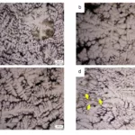 Figure 3 Microstructure of Al-4.7Zn-1.8Mg (wt.%) alloy in an (a) as-homogenized condition and after cold rolling with reductions of (b) 5%; (c) 10%; and (d) 20%