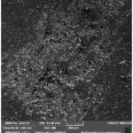 Fig. 4 SEM analysis of the surface defect (“snowflake”)