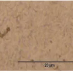 Figure 3. Microstructure of WN a), TAMZ b) and HAZ c)