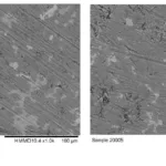 Fig. 2. Morphology of Al-Mg alloy reinforced with (a) 0.5 wt.% and (b) 1.0 wt.%Sr observed by FESEM with 1000X magnification