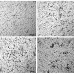 Fig. 3 As-cast microstructures in the middle of the casting walls (top left – casting No. 1, top right – casting No. 2, bottom left – casting No. 3, bottom right – casting No. 4).