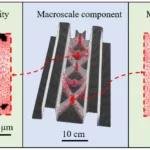 Figure 1 Spatial microstructure variations