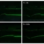 Figure 3. The profiles acquired by the camera during four moments in the experiment.